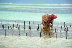 healing retreat i zanzibar 2026